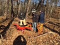 2015 Alex with tree casualty_2